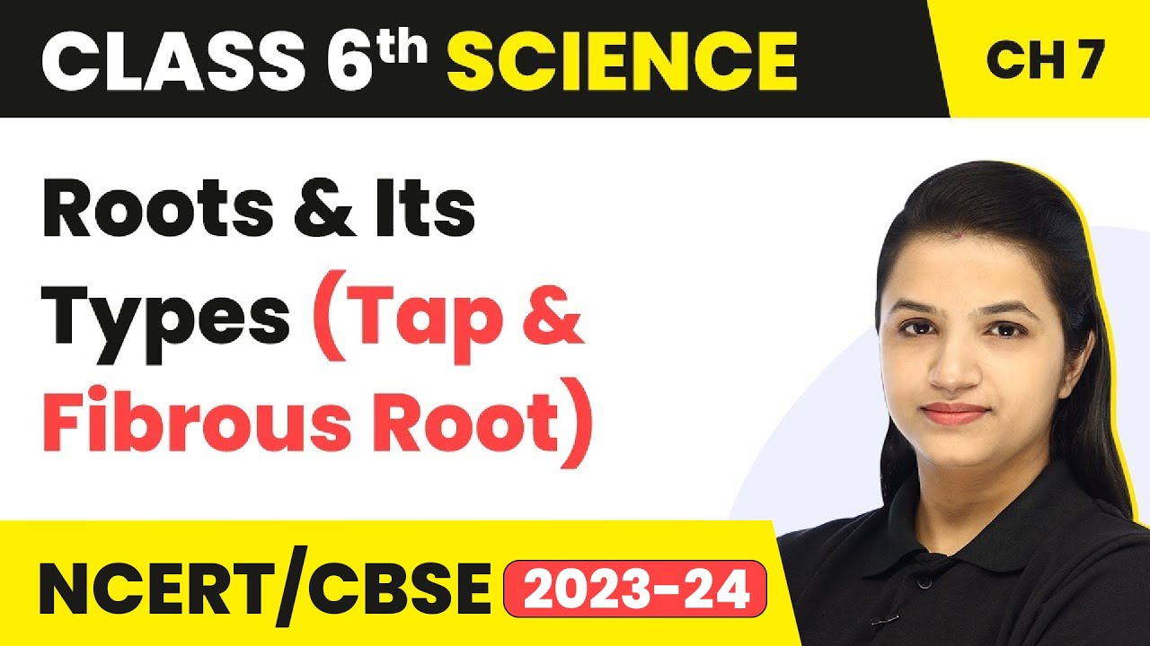 Class 6 Science Chapter 7 | Getting to Know Plants - Roots & Its Types (Tap & Fibrous Root)