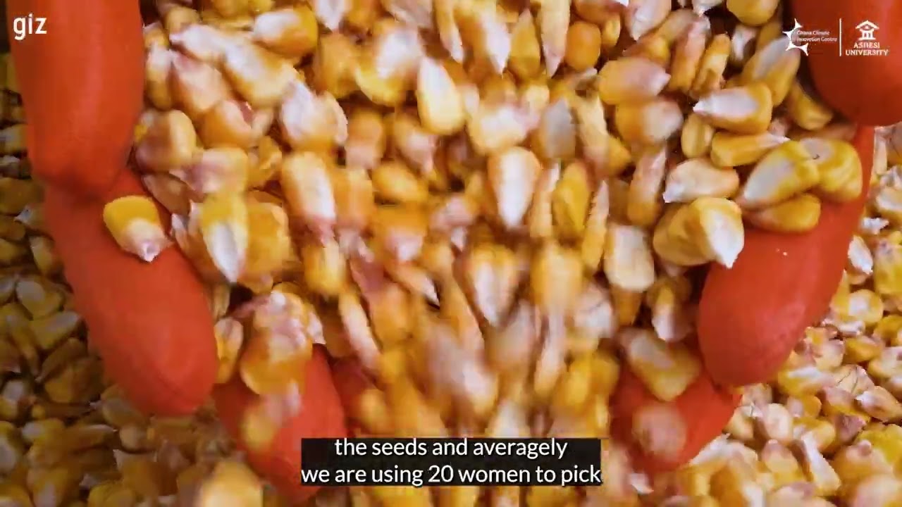 Green Business Success Story Ghana | Eagle Park | GIZ PFS Programme (2025)