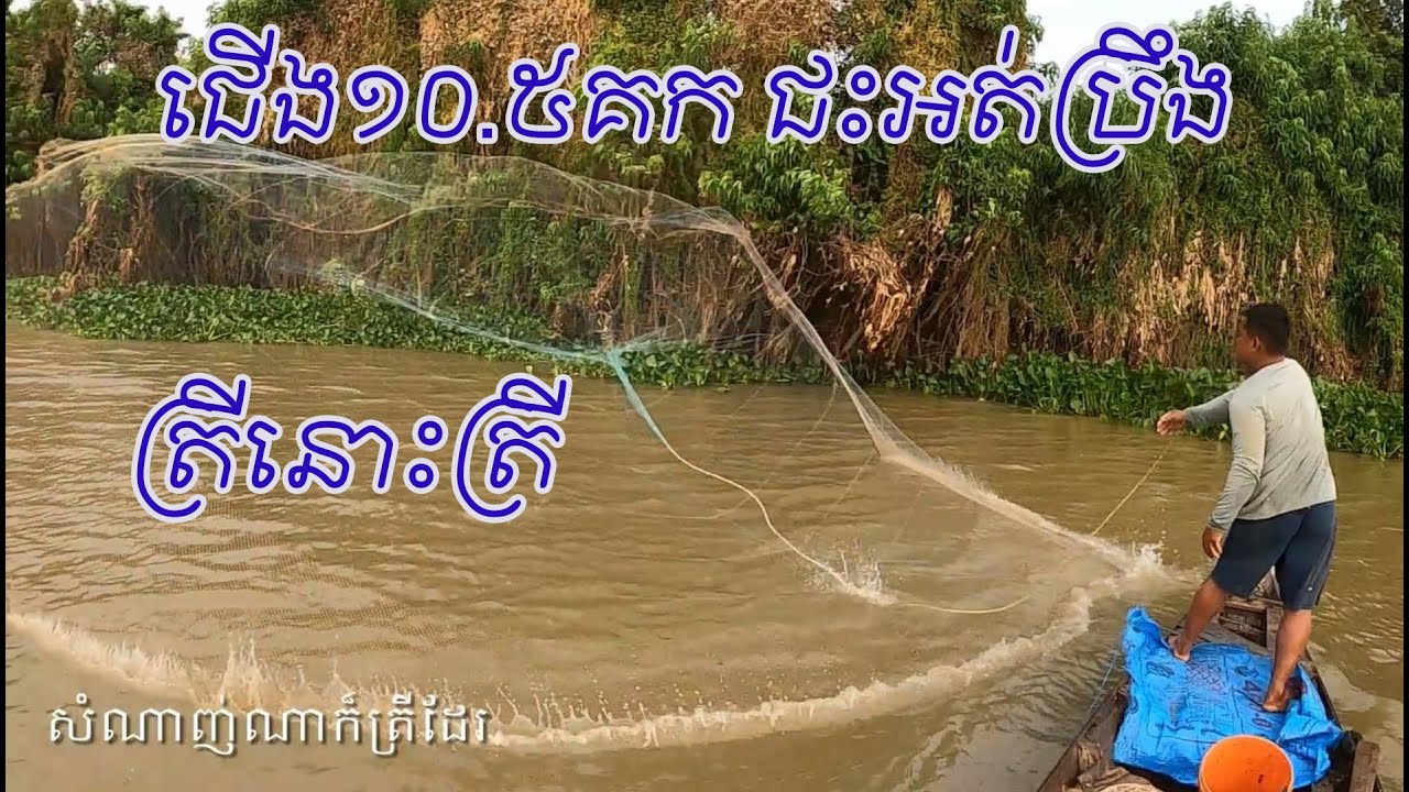 ត្រីត្រីត្រី The Best Fishing Videos 2026 | #782
