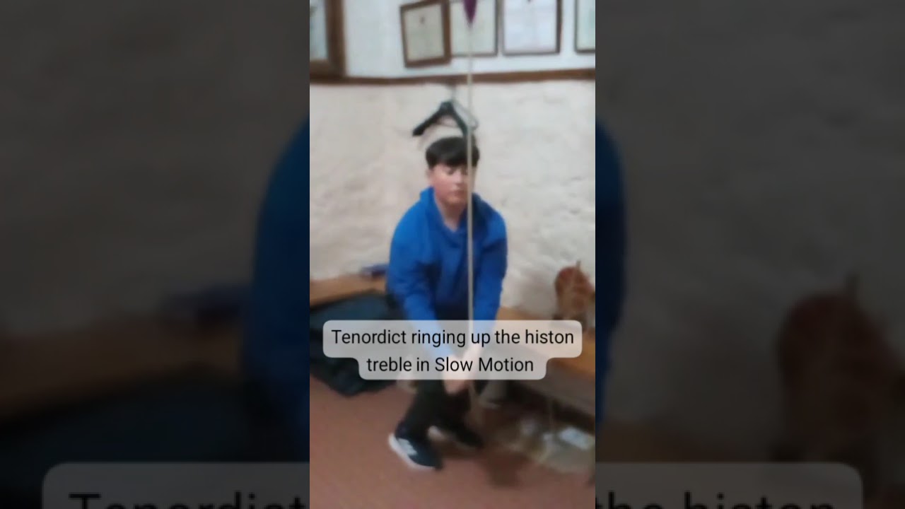 (T)Benedict ringing at Histon