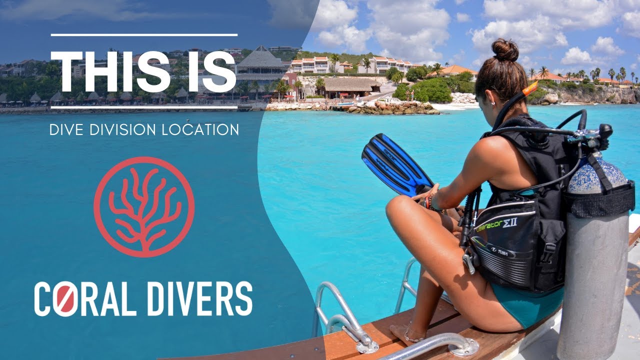 Coral Divers, Curacao: THE PADI 5 Star Dive & Freedive Resort at Oasis Coral Estate