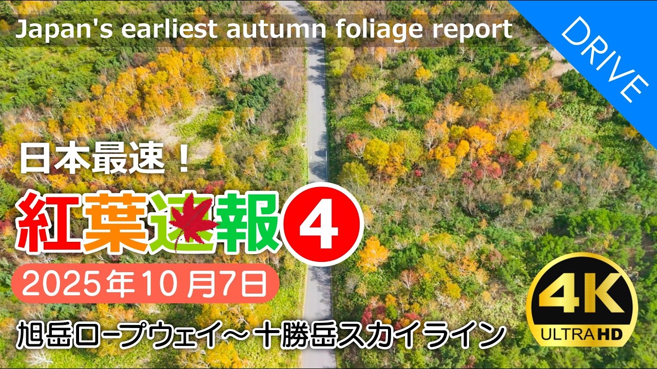 【紅葉速報❹】日本一早い紅葉スポット！旭岳ロープウェイ～十勝岳温泉を地上と上空から調査｜2025年10月7日（火）