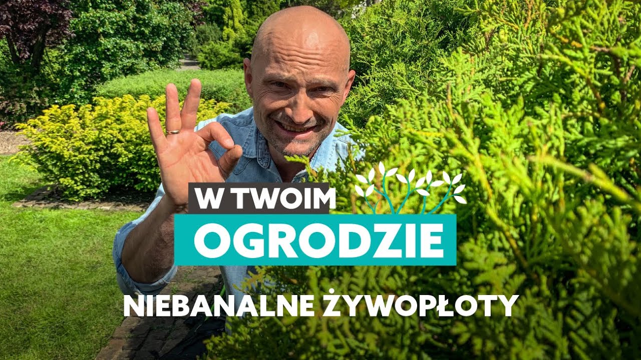 Niebanalne rośliny na żywopłot [W Twoim ogrodzie]