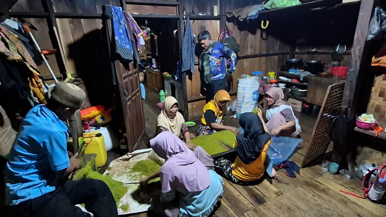 Hidup di Desa, Tak Disangka di Pelosok Perkampungan Ini Penghasil Tembakau Unggul