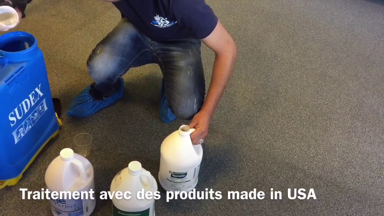 Traitement antiacariens des moquettes