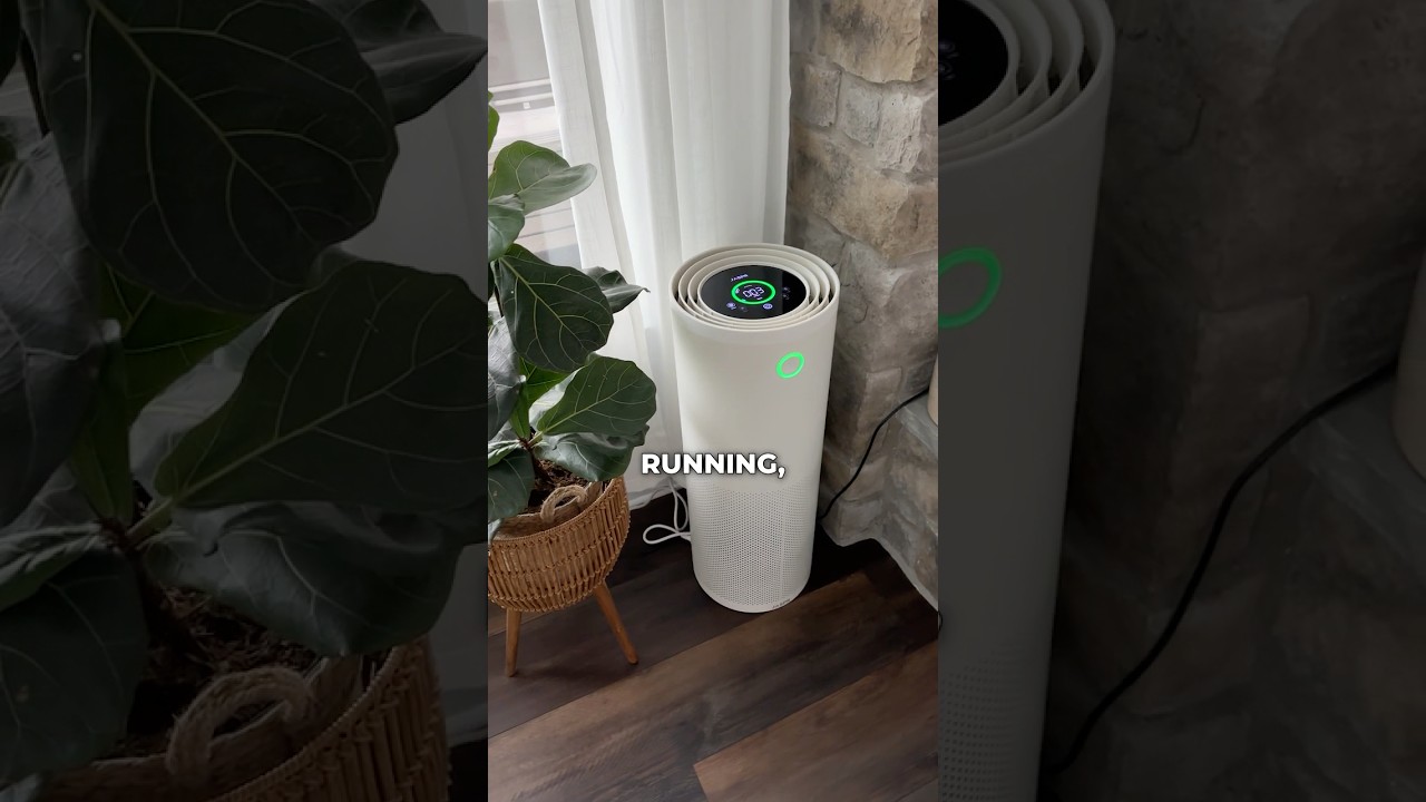 BEST Air Purifier on the Market Right Now (JASPR Review)