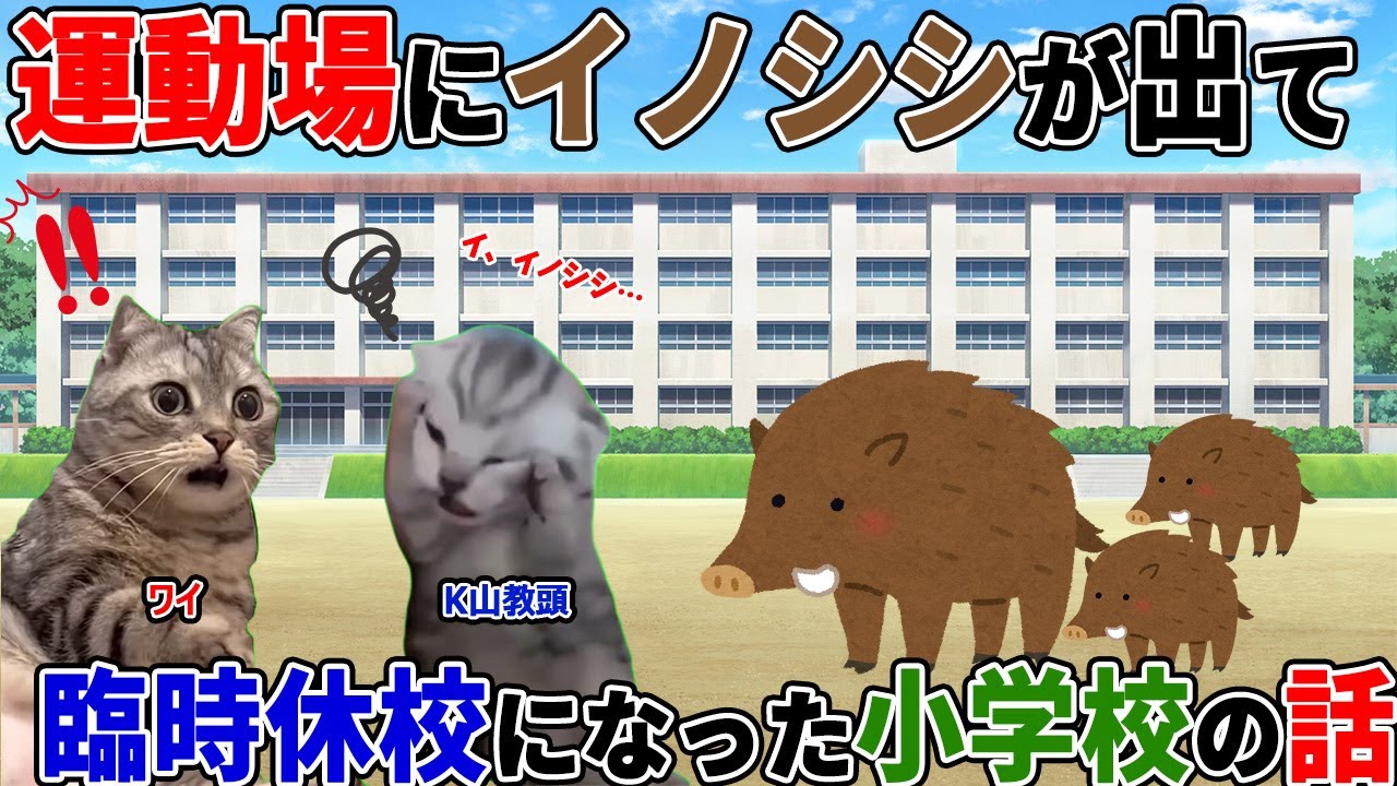 【ほぼ実話】運動場にイノシシが出て臨時休校になった小学校の話【猫ミーム】【猫マニ】