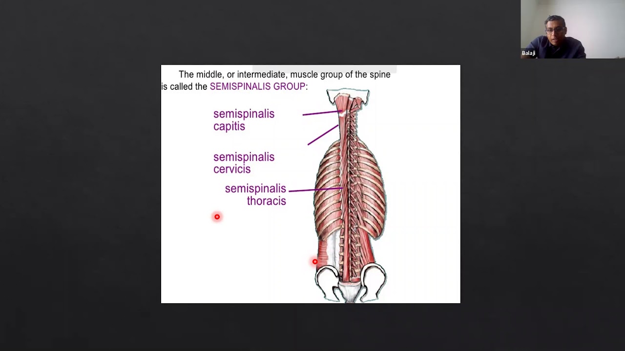 Spinal History Taking & Examination