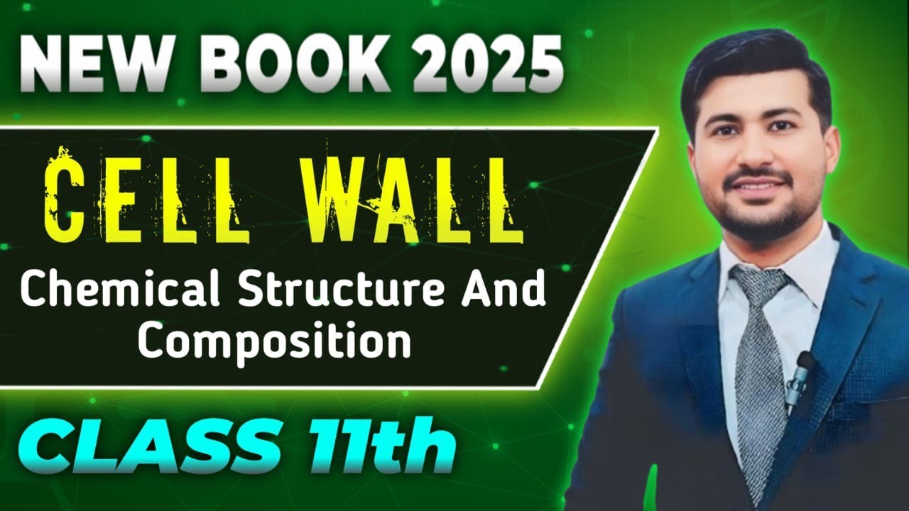 Cell Wall: Structure, Composition & Functions | biology Class 11 chapter 3