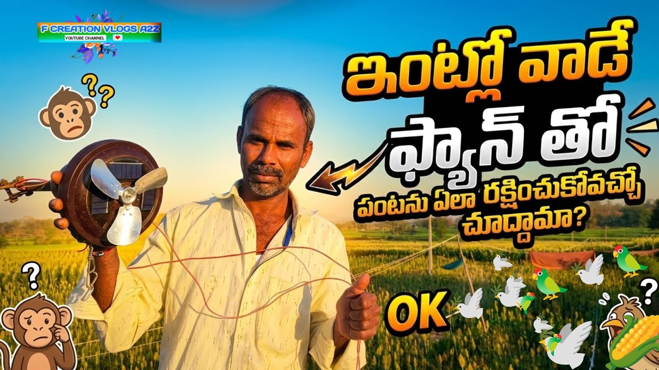 పంటలో పక్షులు🦜🌾🌽పందులు🐱🫏🐷 రాకుండా ప్లాన్ సక్సెస్ అదెట్లనో చూసేయండి మరి