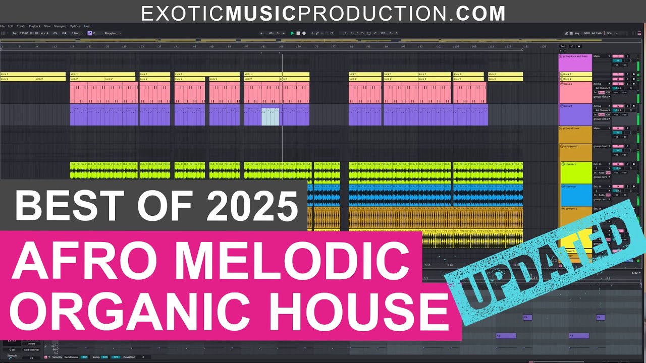 10 Best Afro House, Afro Melodic & Organic House Sample Packs of 2025 | PART 2/2 - UPDATED LIST