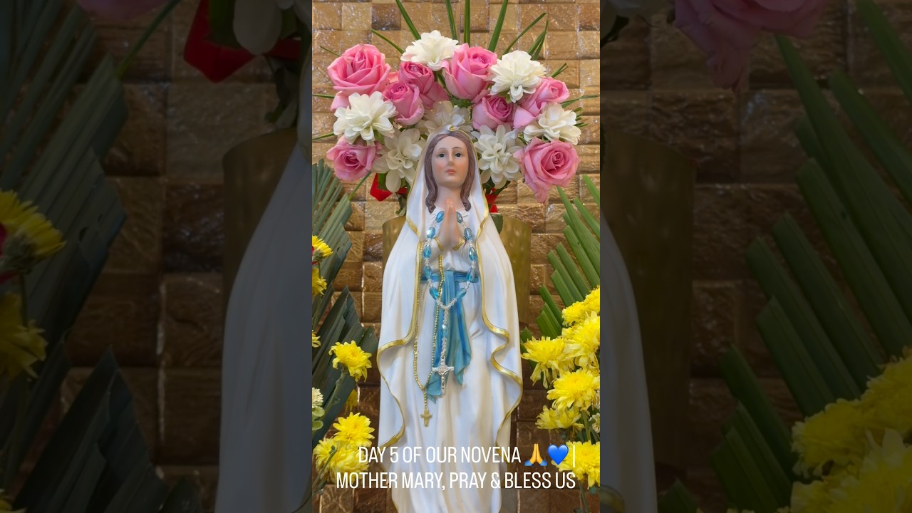 DAY 5 🙏🌹 | MOTHER MARY, PRAY FOR US & BLESS ALL FAMILIES 💙@snjlobo