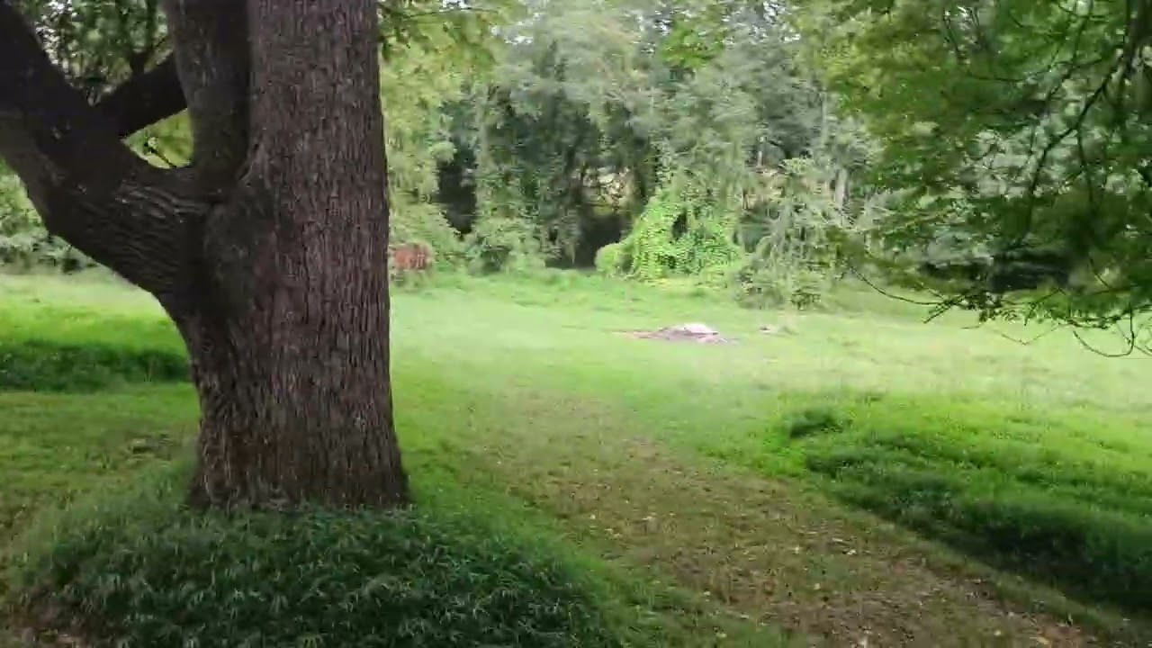 The Farm Pt.1 Property memories