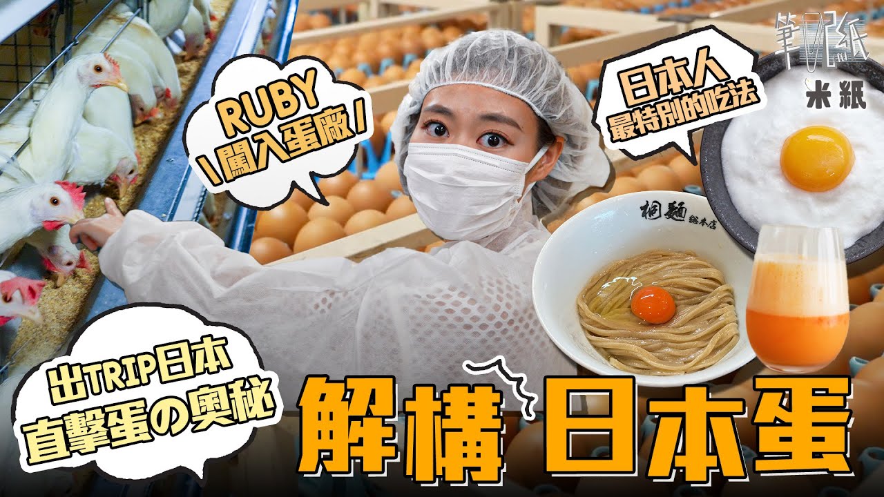 #米紙｜港人勁愛日本蛋 年銷4億隻の秘密 直擊日本農場+雞蛋廠生產雞蛋的奧妙 匠人精神研發生蛋新奇料理 啡蛋白蛋不同之處原來係？#筆記紙