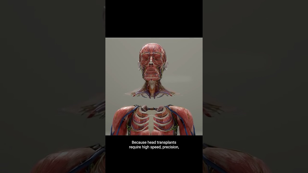 Head Transplant Machine 😨 Surgeon Reacts