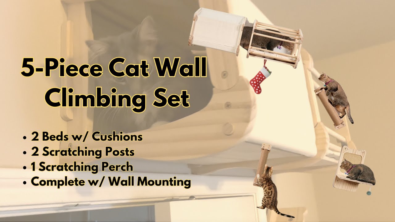 Product Review: Viral Cat Wall Shelves! 5-Piece Set w/ 2 Beds. Great For Indoor Cats! #amazonfinds