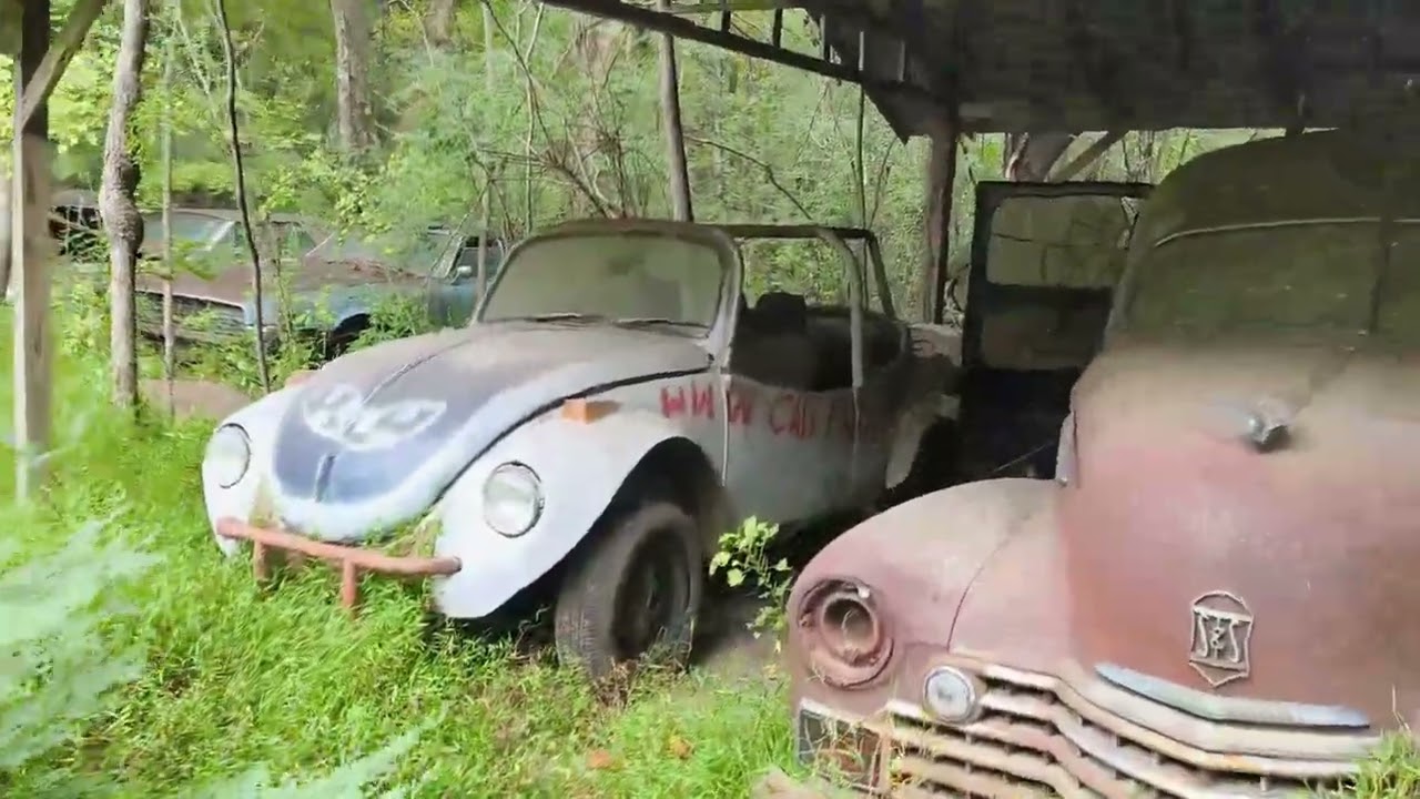 Rust never sleeps - The Graveyard of Cars: Old Car City  White/Georgia