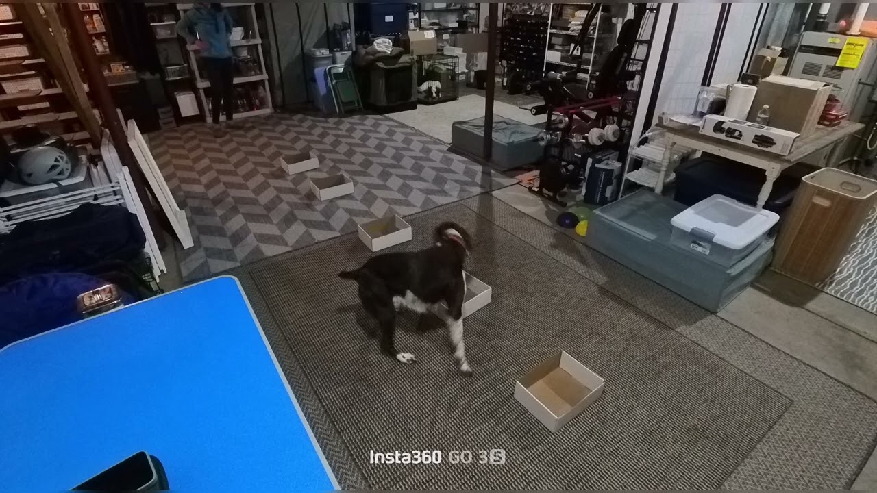 Mickey open containers - 1/12/26