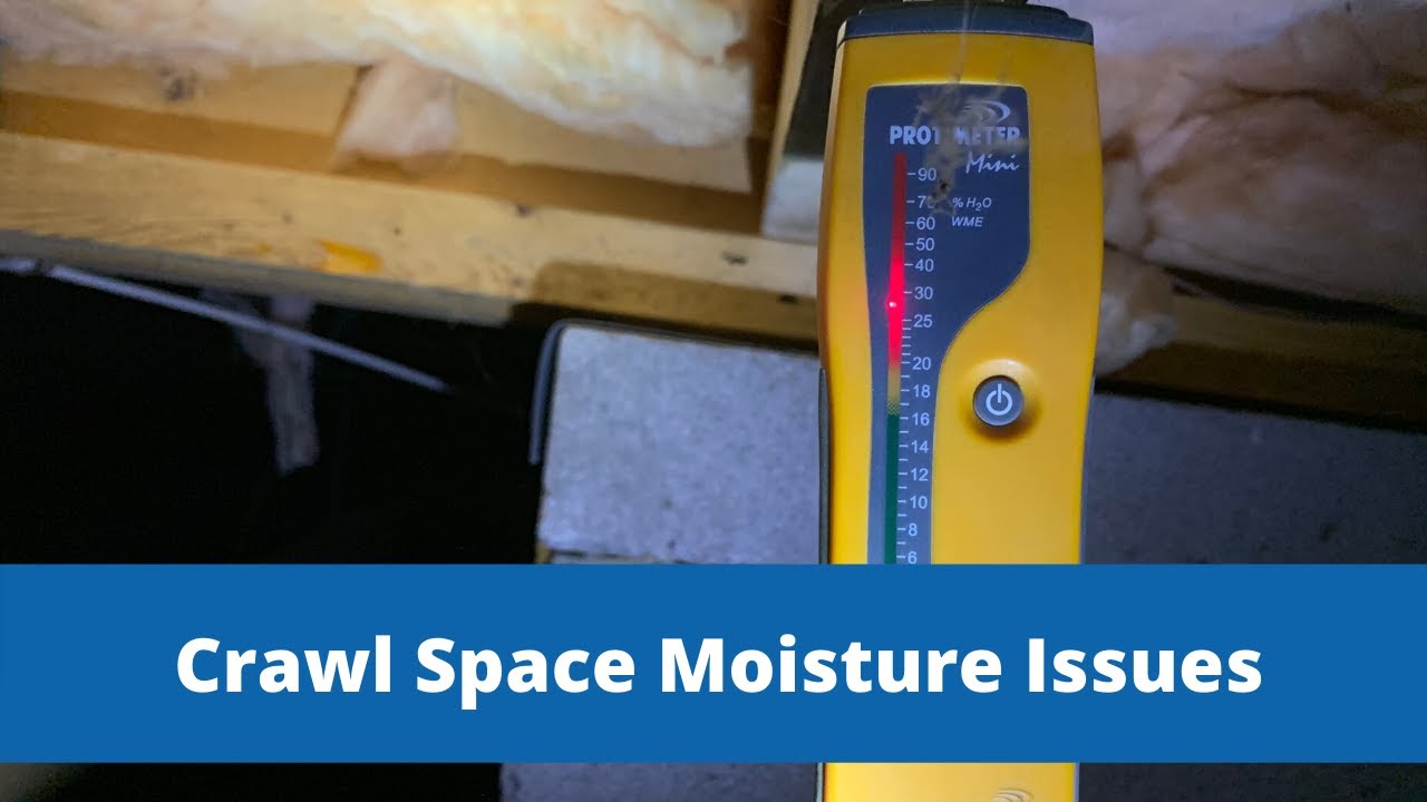 Crawl Space Moisture Evaluation