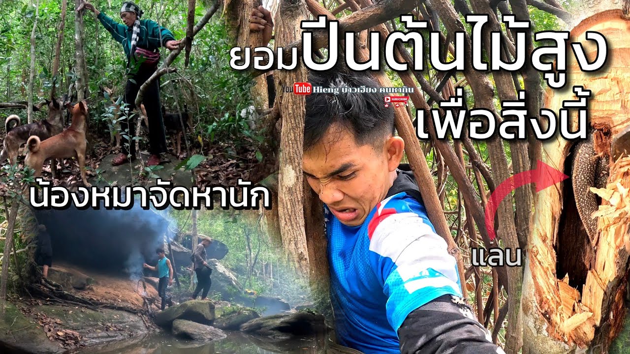 รอบนี้น้องหมาจัดหนัก//ນ້ອງຫມາຈັດຫນັກ Hieng บ่าวเฮียง คนหากิน
