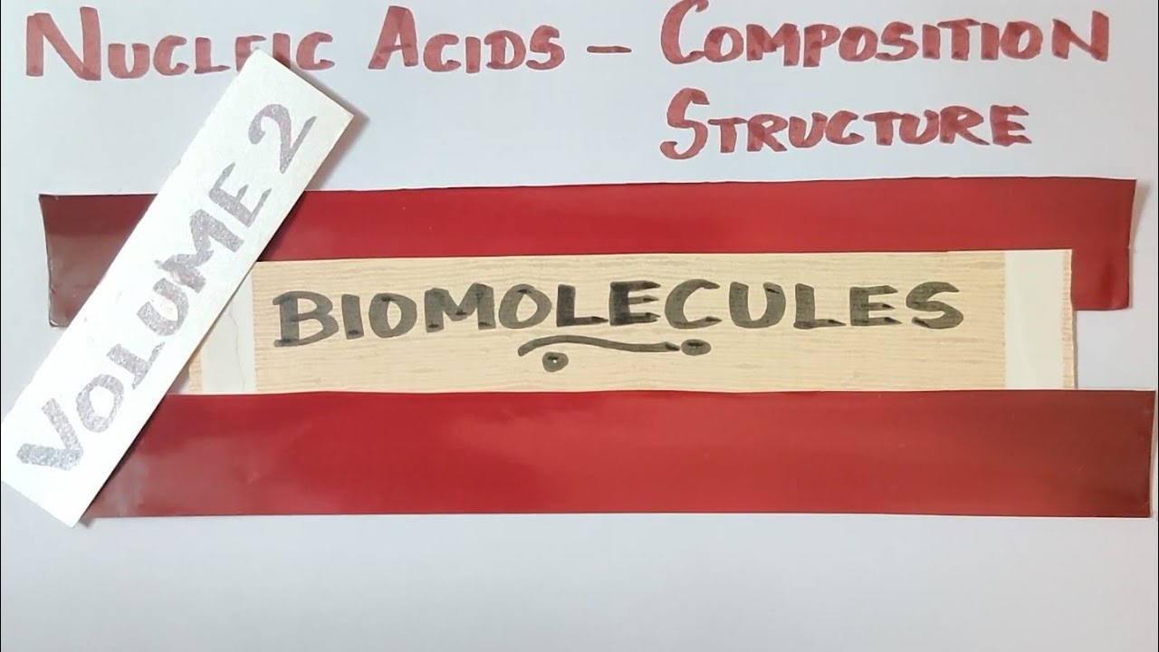 TN 12th STD/PART I/Nucleic acids/ Structure & Composition/Biomolecules/Vol 2/Explanation in TAMIL
