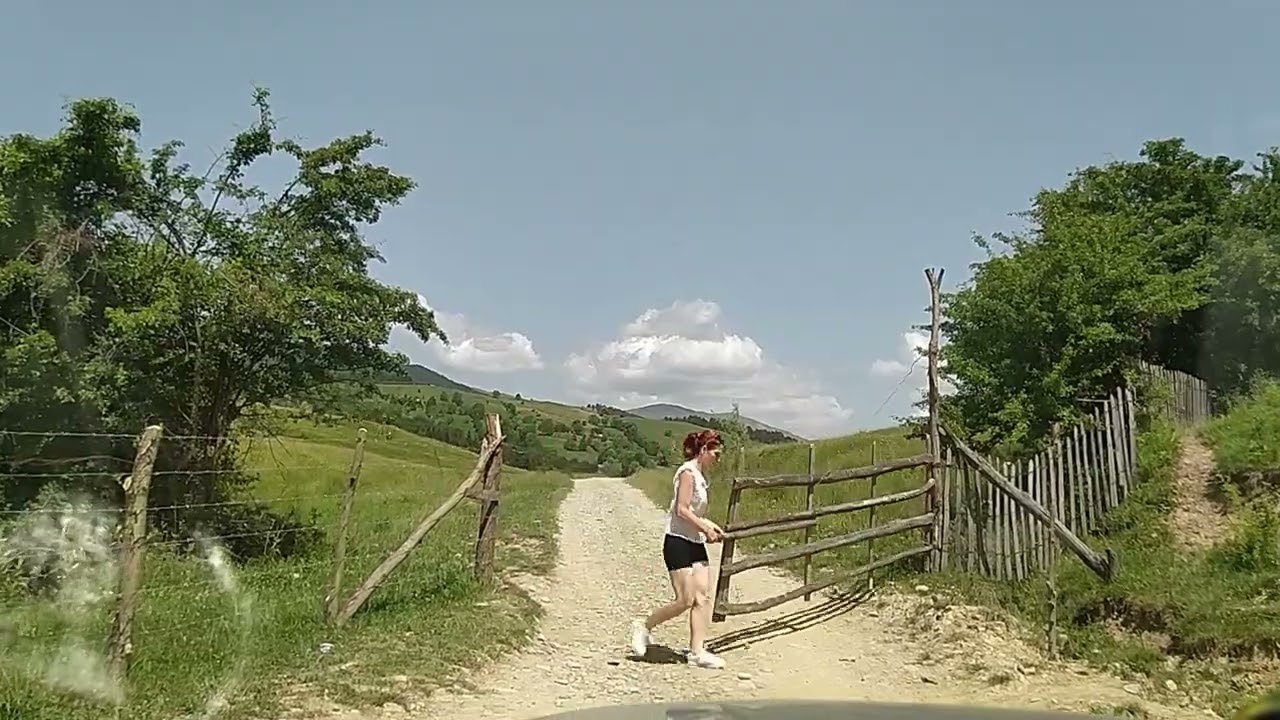 Traseu offroad (overlanding) Secaria - Varful Piscul Cainelui