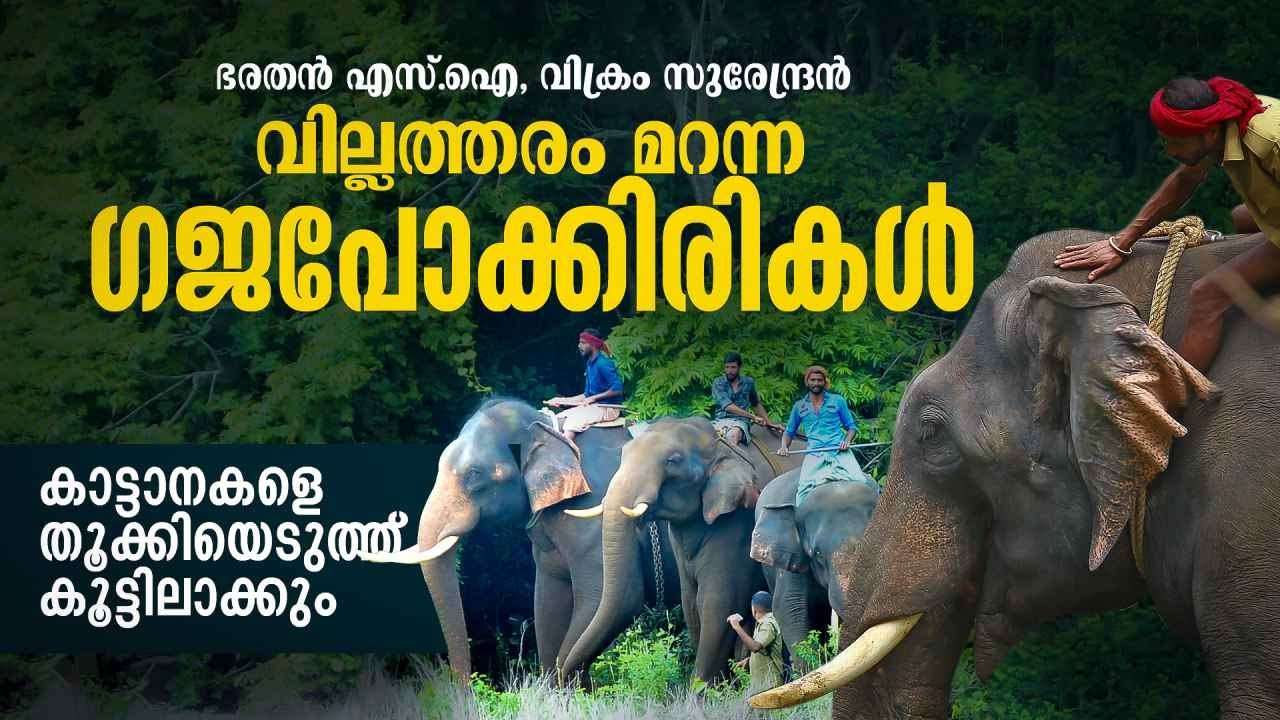 പണ്ട് കാടിറങ്ങി നാട് വിറപ്പിച്ചിരുന്നവരാണ്, ഇന്ന് നാടിനെ സംരക്ഷിക്കുന്നു; മുത്തങ്ങയിലെ ആന വിശേഷം