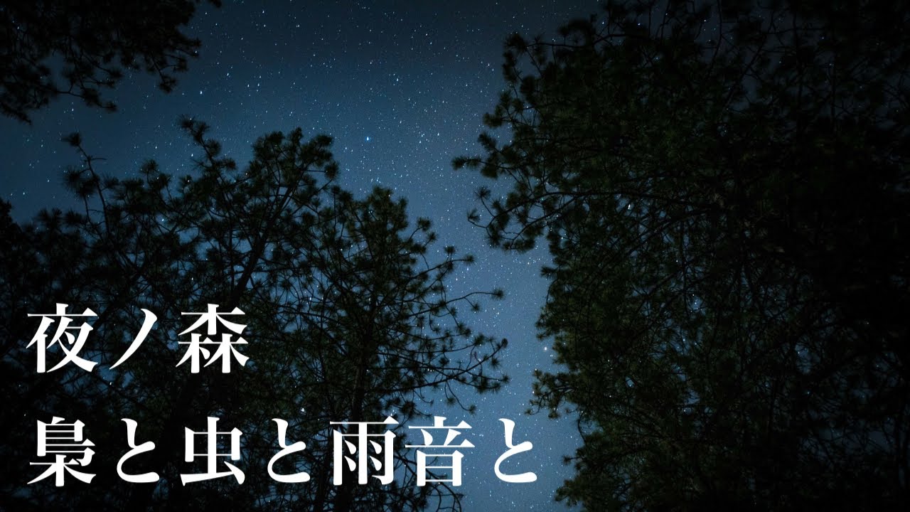 【癒し・睡眠用BGM】夜ノ森　虫の音　雨音　作業　睡眠　瞑想　ヨガ　読書　Healing Sound_Night Forest and Insect Sound with Rain and owls