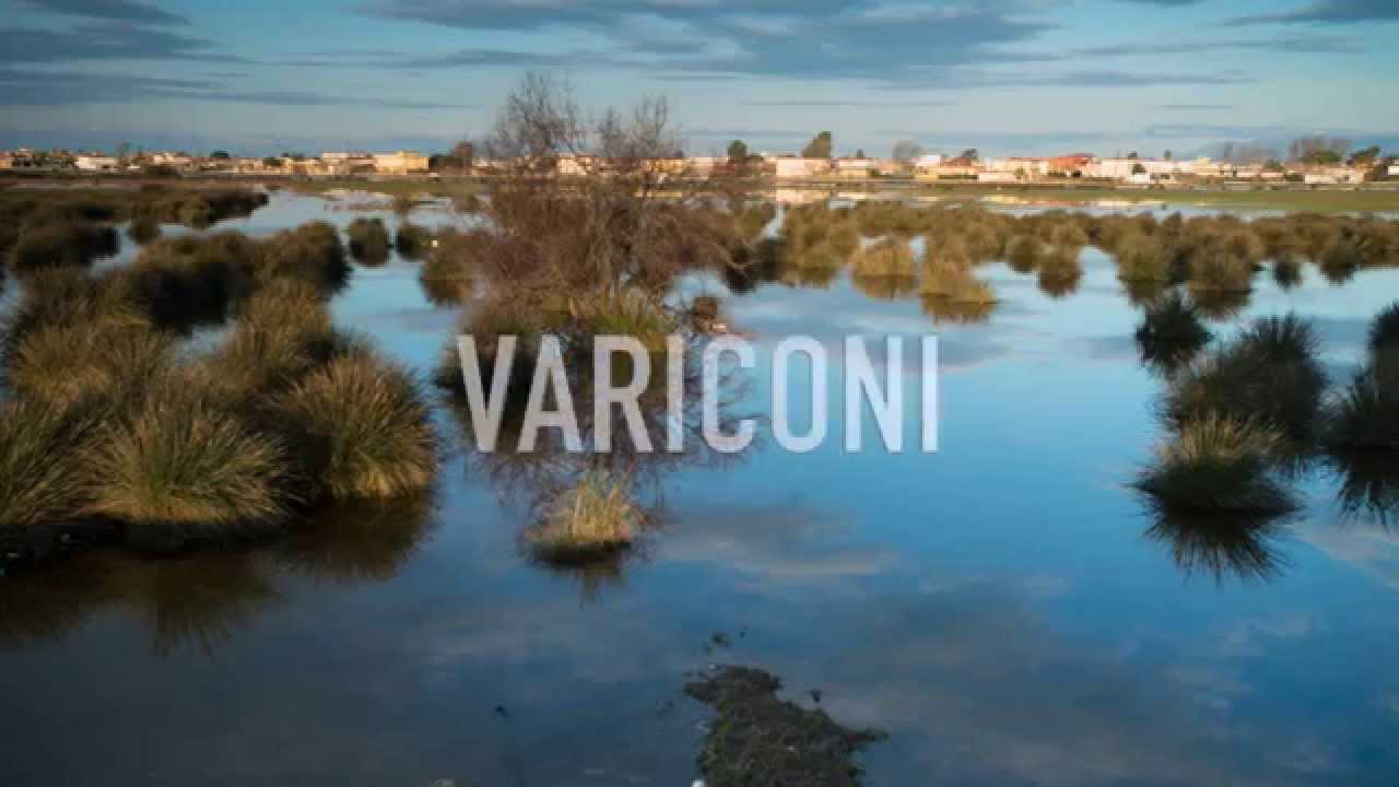 Variconi - il libro fotografico