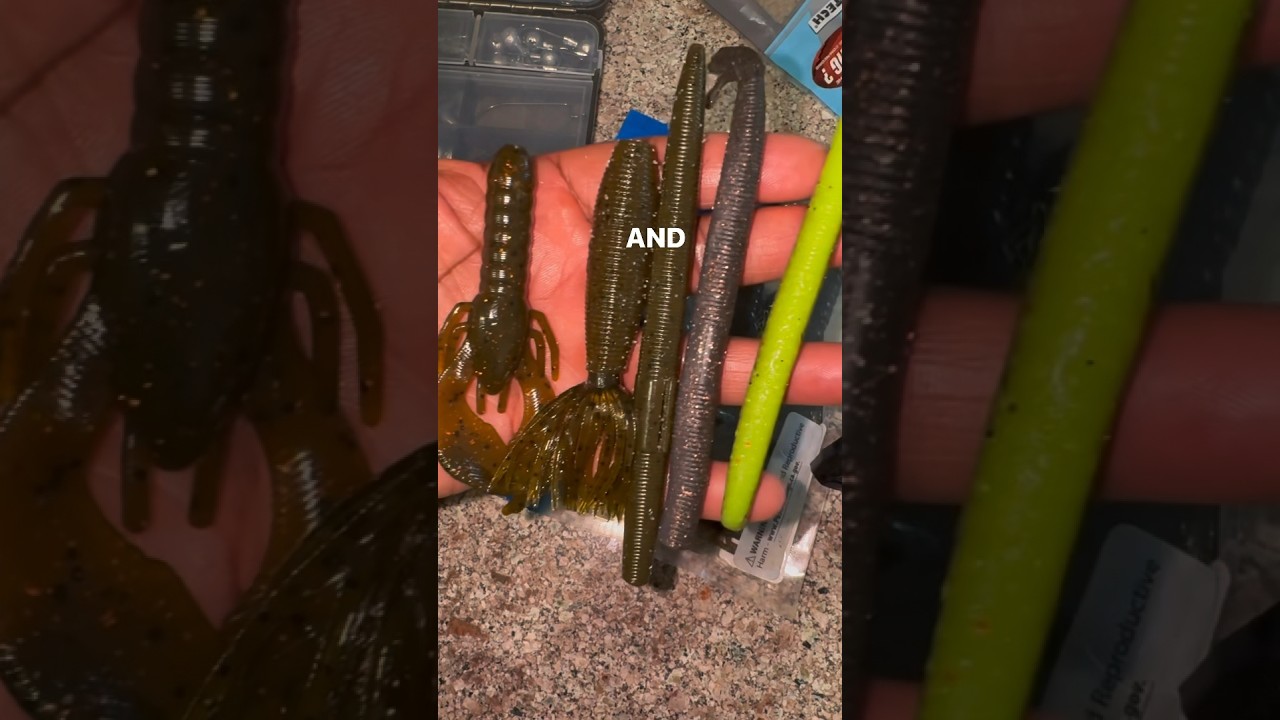 Easy Way To Catch Bass ( Texas Rig with Pegged Weight)