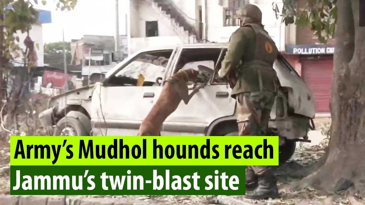 Army’s Mudhol Hounds on mission at twin-blast sites in Narwal, Jammu