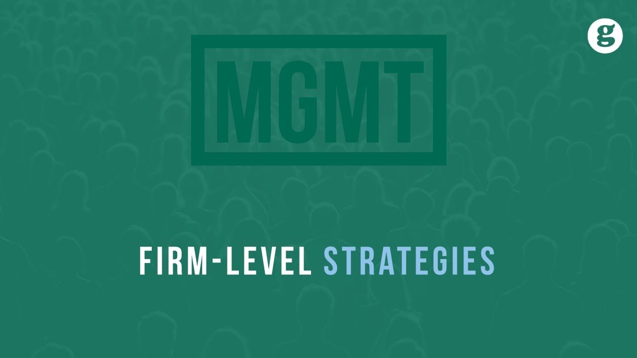 Firm Level Strategies