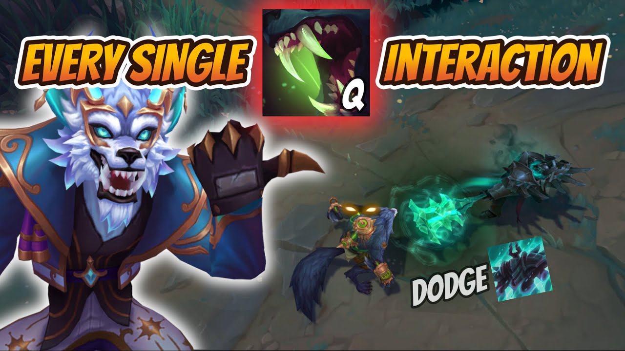 The ULTIMATE Warwick Q Guide