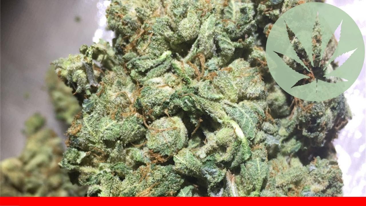 Pink Bubba - All About This Strain
