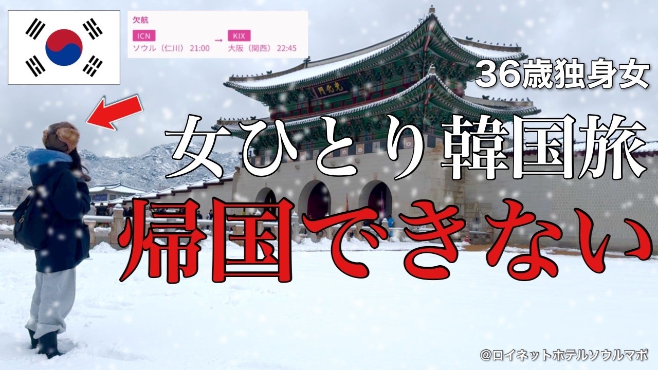 【女ひとり旅】36歳独身女､ひとり韓国旅／初めての海外旅で帰国できなくなりました。。。【ビジホ飲み】