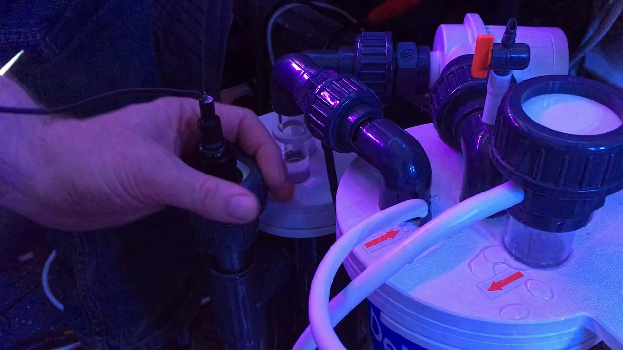 Advanced Aquarium Consultancy