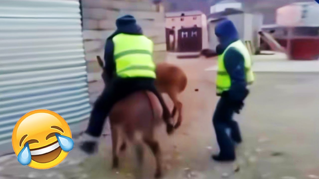 Best Funny Videos Of 2025 😂 TRY NOT TO LAUGH Funny Videos #21😂