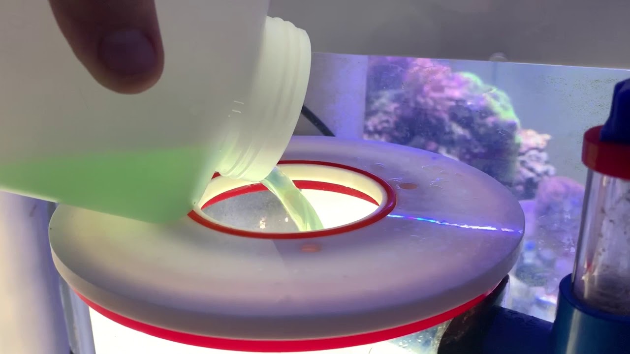 Réacteur phytoplancton comment cela fonctionne