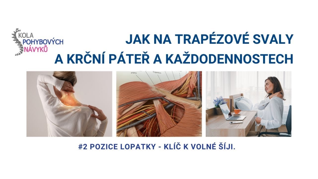 JAK NA TRAPÉZOVÉ SVALY A KRČNÍ PÁTEŘ A KAŽDODENNOSTECH - #2 POZICE LOPATKY - KLÍČ K VOLNÉ ŠÍJI.
