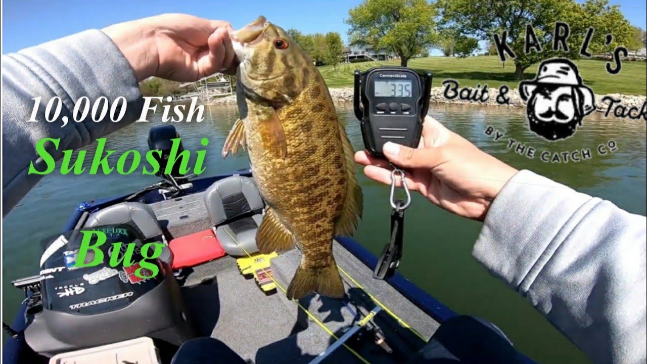 SUKOSHI Bug Catching BIG Smallmouth Bass (teaser trailer)