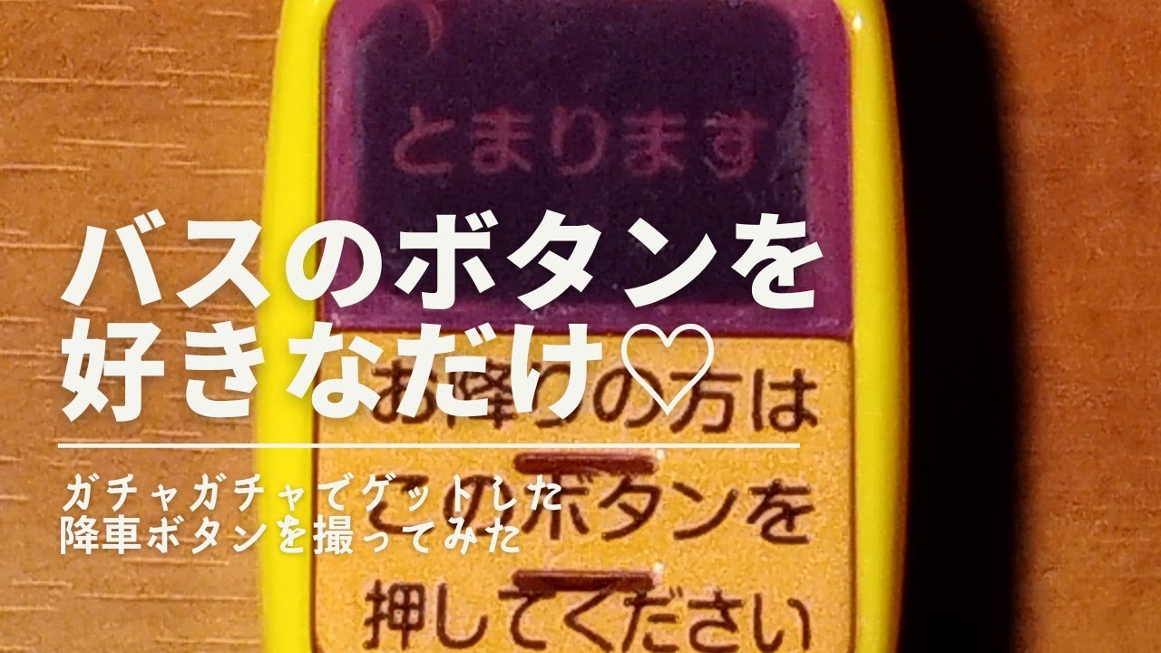 バスのボタンを好きなだけ押せる夢のようなアイテムです(♡.♡)