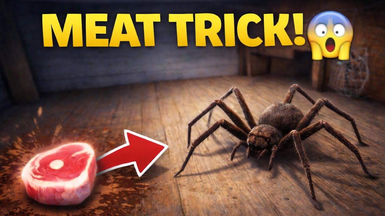 I Used Meat to DISTRACT the Spider in Granny’s House 😱🕷️