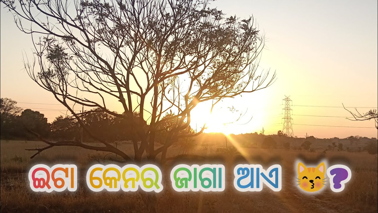 Eta kenar jaga yete sundar😻🤔?//#rupalivlogs #vlogvideo #sambalpurivloger 