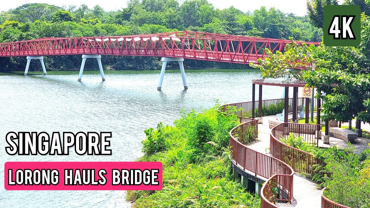 New PCN Route Between  Pasir Ris Park  and Lorong Halus | Singapore Cycling