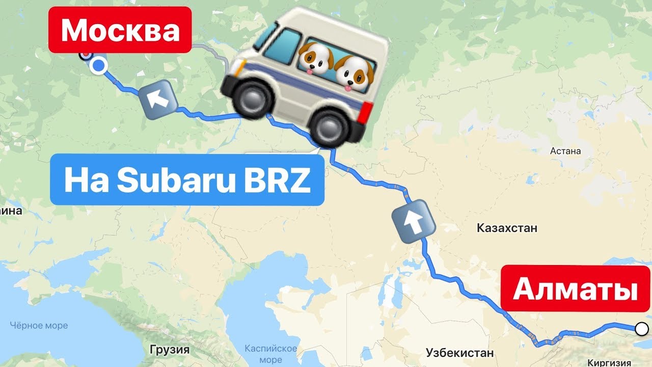 Из Алматы в Москву на Subaru BRZ с 2 огромными Алабаями