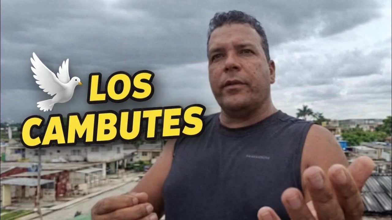 🔥 Visita a Roilan en Güines 🇨🇺🕊️ | Trabajando la línea Los Cambutes
