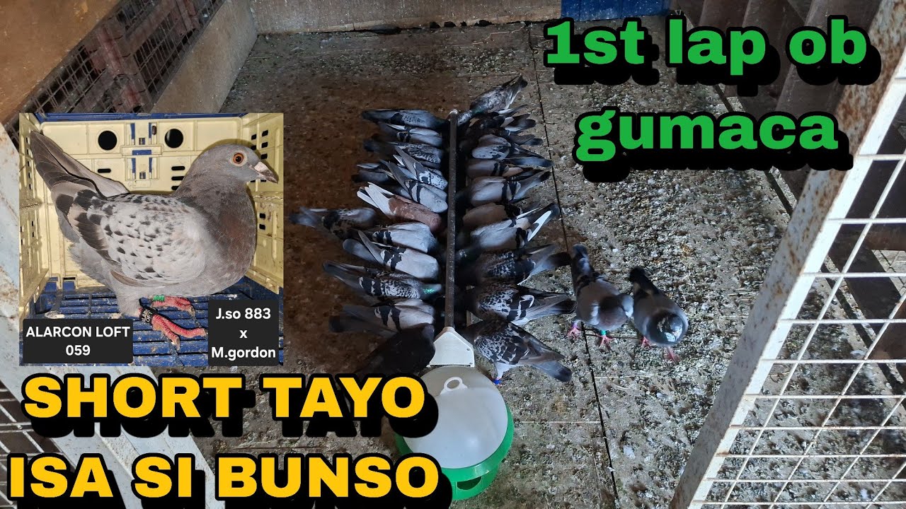 GRABE SUPER BILIS SA 1ST LAP GUMACA, KASO INVALID LAHAT NG STICKER NATIN! 29/30 TAYO!