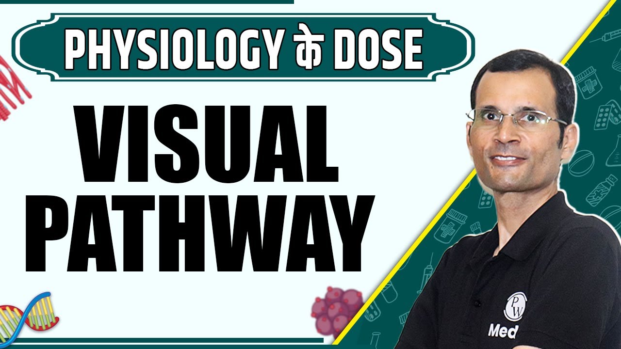 Visual Pathway | 1st Year MBBS | Dr. Vivek | Physiology के Dose