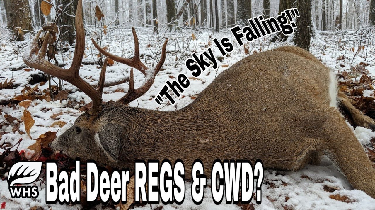 New Deer Hunting REGS & CWD Rant