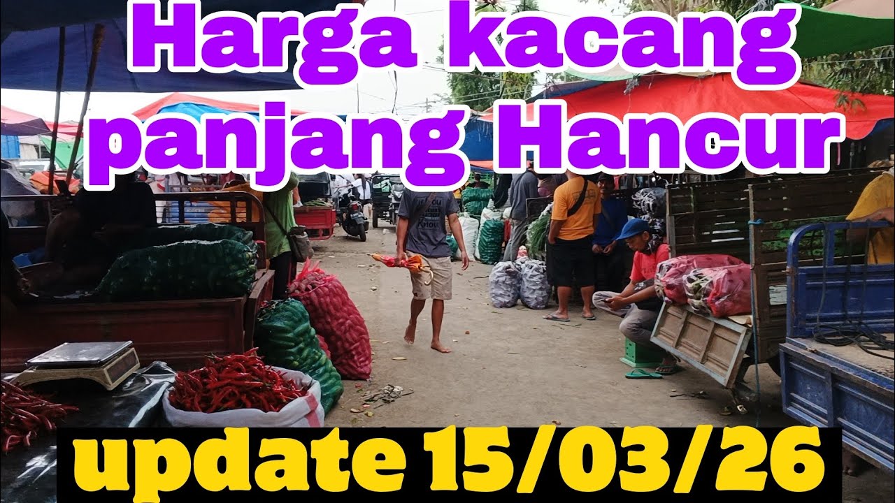 harga cabe hari ini update harga terbaru sayuran pasar grosir ngronggo kota kediri 15/03/26